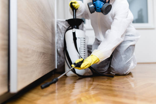 Pest Prevention Services in Kirby, TX