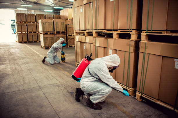 Best Pest Prevention Services  in Kirby, TX