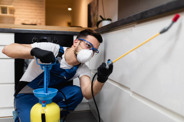 Best Best Pest Control Companies  in Kirby, TX