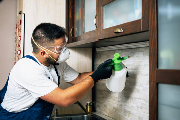 Best Cockroach Control Services  in Kirby, TX