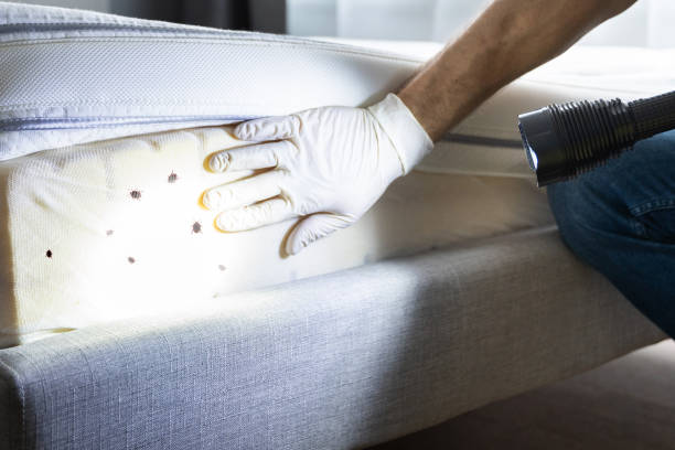 Pest Control for Restaurants in Kirby, TX