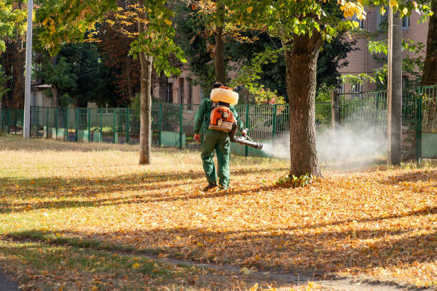 Best Rodent Control Near Me  in Kirby, TX