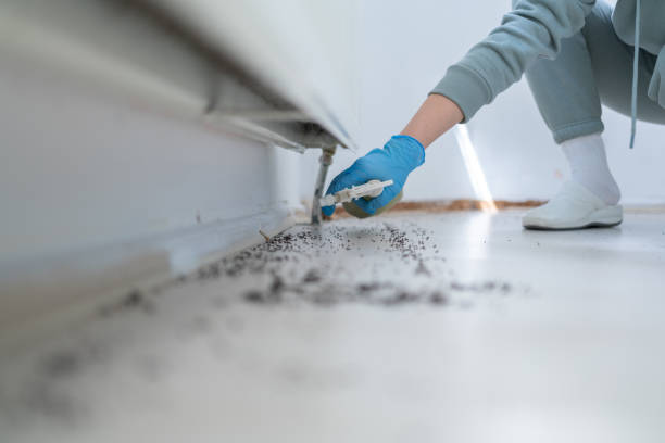 Best Wildlife Control Services  in Kirby, TX